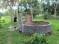 /album/galleria-foto-prima-farm/img-5817-copia-jpg/